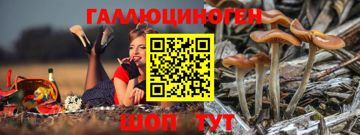 Галлюциногенные грибы мицелий  цена   Муром  Вход с VPN 